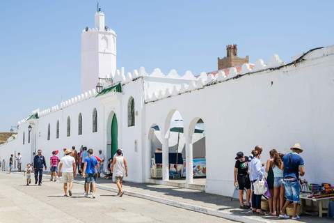 From Tangier: Asilah Guided Tour with Camel Ride