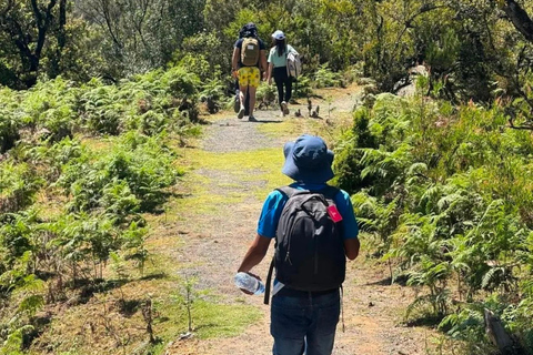 Wenchi Crater Lake Tour from Addis: English & German Guide
