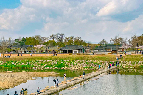 Busan: Spring Cherry Blossom & Gyeongju Highlights Day Tour