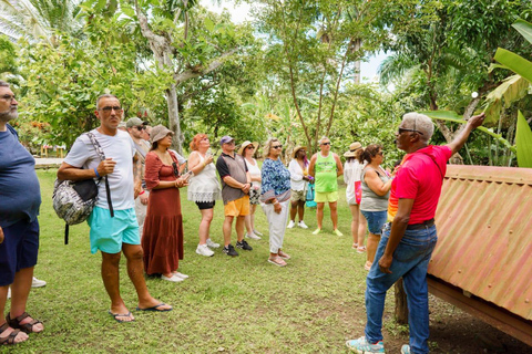 Punta Cana safari experience and historical city tour Half-day city tour and safari
