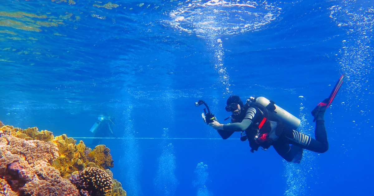 Makadi Orange Island Snorkling, dykning och vattensporter GetYourGuide