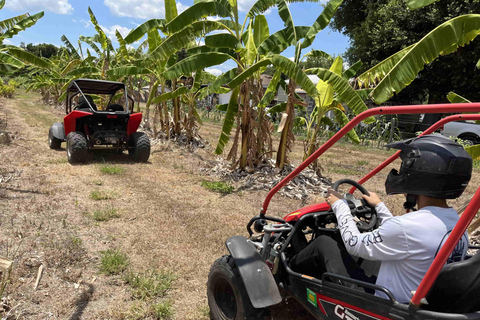 Bamboo Dune Buggy Tour