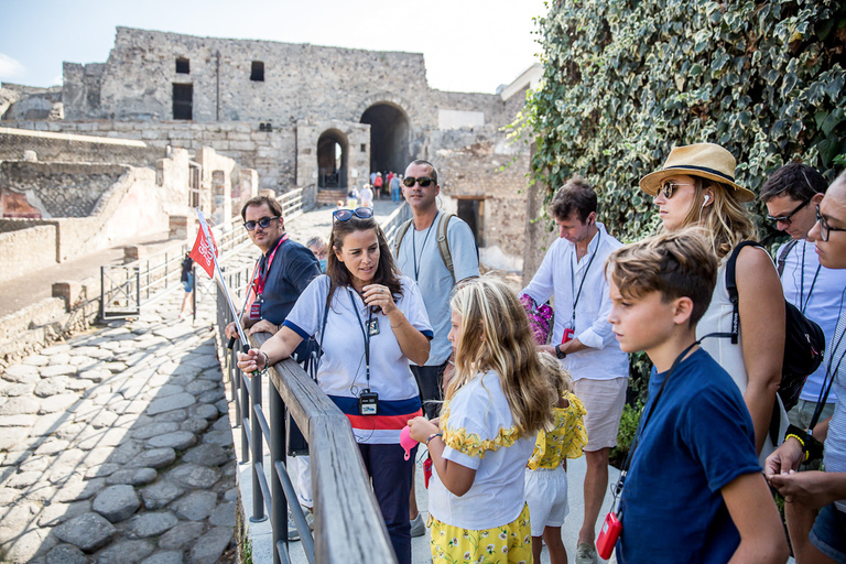 Naples or Sorrento: Full-Day Pompeii and Mount Vesuvius TourFrom Naples: Group Tour in English