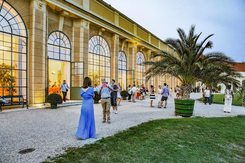 Wien: Mozart und Strauss Konzert in SchönbrunnPreiskategorie V - VIP