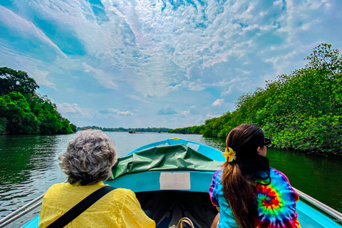 Madu River Boat Safari & Traditional Mask Workshop Visit Pick-up From: Hikkaduwa
