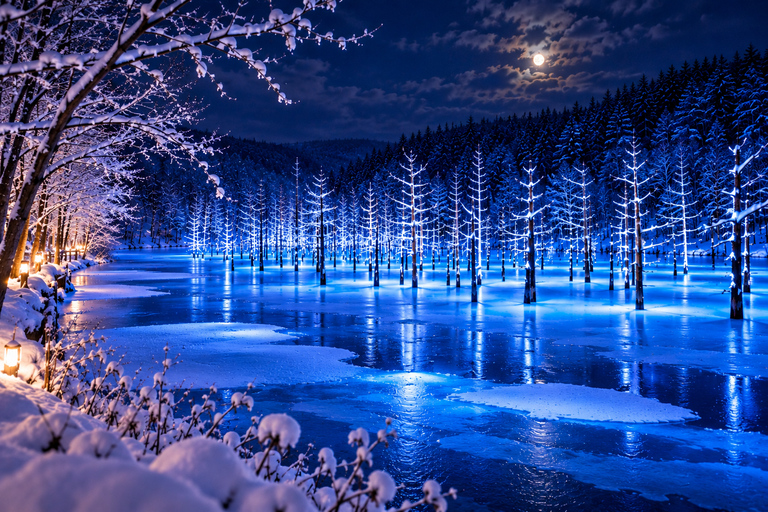 From Sapporo: Blue Pond Illumination & Ningle Terrace