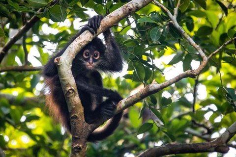 Puerto Maldonado: 6-Day Amazon Tour with Sandoval Lake