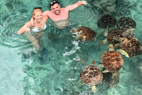 Grotta di Salam, Laguna Blu, Spiaggia delle Stelle Marine e Ristorante The Rock