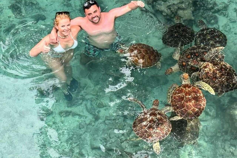 Grotta di Salam, Laguna Blu, Spiaggia delle Stelle Marine e Ristorante The Rock