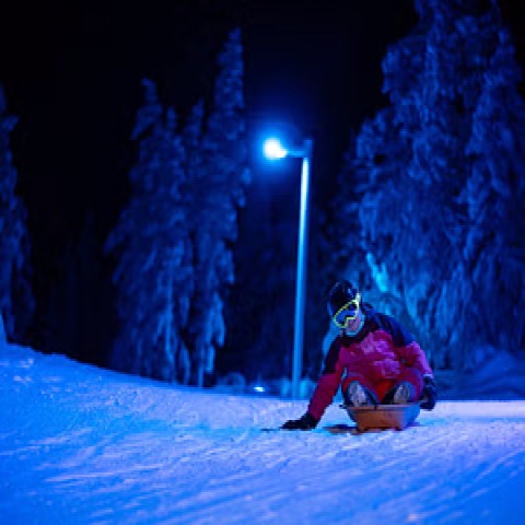 Visit Electric Snowscootering and Tobogganing in the Tundra in Ivalo