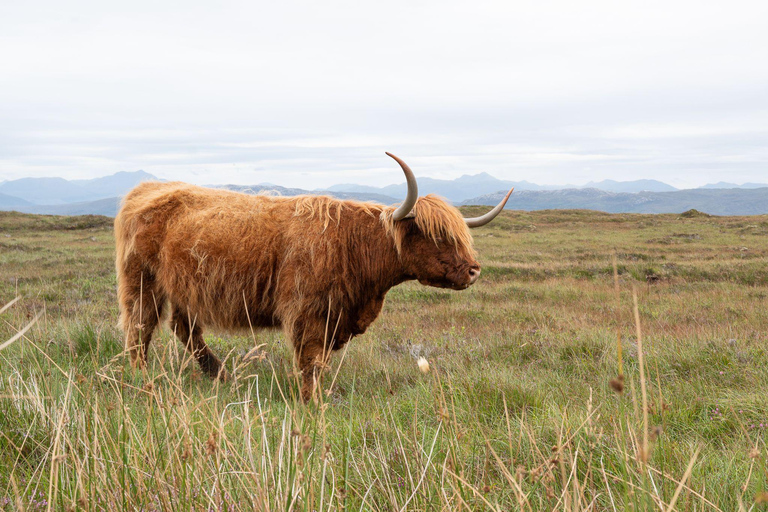 2-Day Private Tour to Glencoe and Inverness 2 Day Private Tour to Glencoe and Inverness