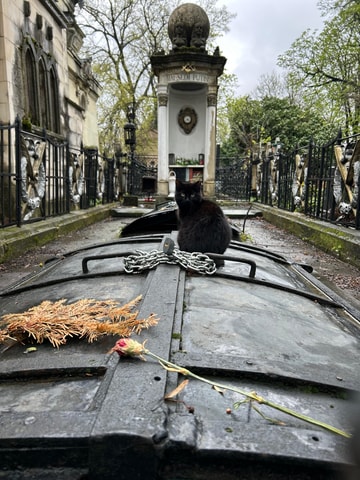 Bucharest: Bellu Cemetery Walking Tour with Guide