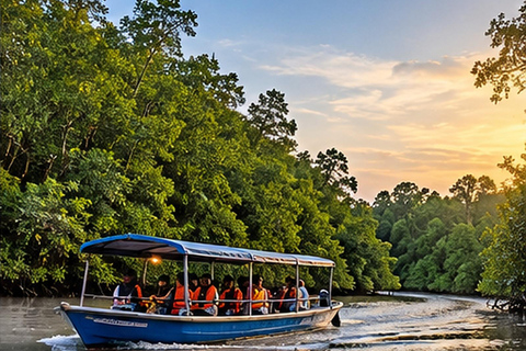 Kuala Selangor: Firefly & Blue Tears Night Tour