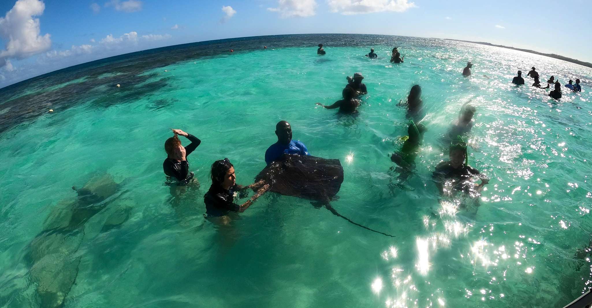 Antigua, Stingray City Experience Ticket - Housity