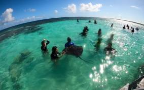 2 hours Snorkeling Stingray City experience in Antigua