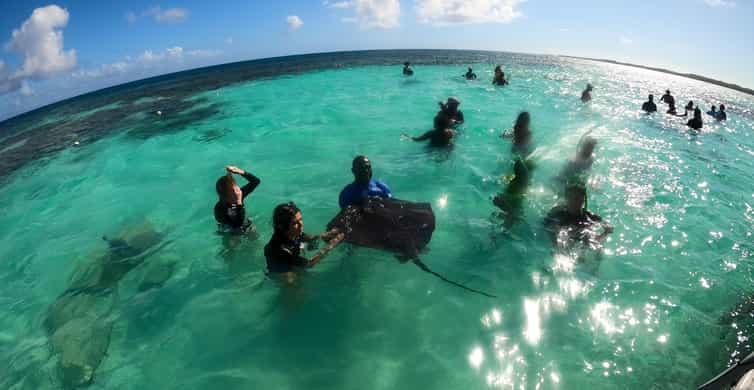 Antigua: Stingray City Experience Ticket | GetYourGuide