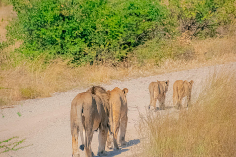 Samburu National Reserve 3-Day Safari from Nairobi