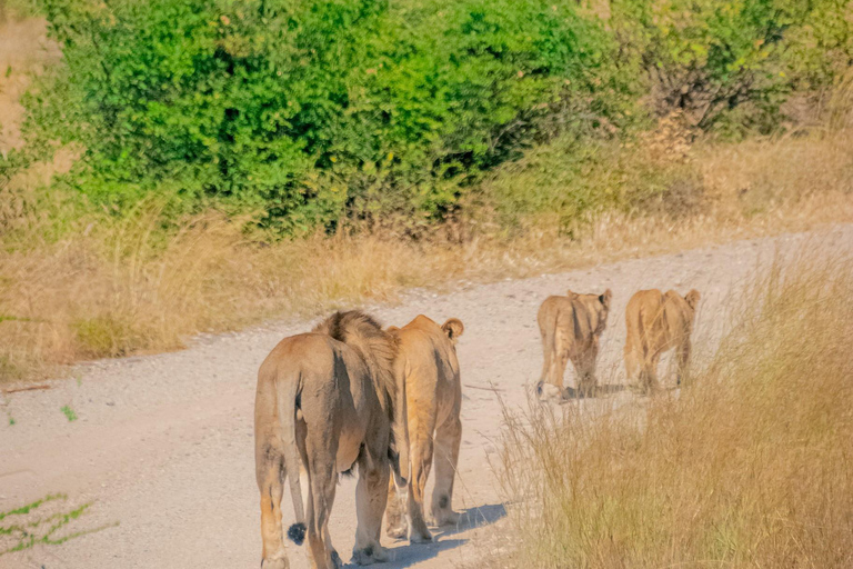 Samburu National Reserve 3-Day Safari from Nairobi