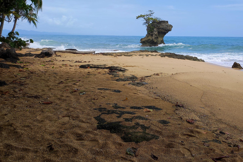Puerto Viejo Talamanca: Wandere durch das Gandoca Manzanillo Wild Life Refuge.