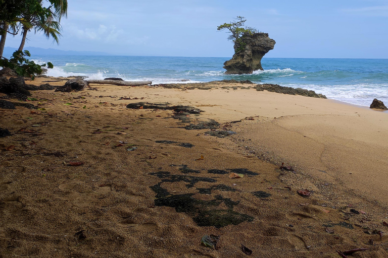 Puerto Viejo Talamanca: Wandere durch das Gandoca Manzanillo Wild Life Refuge.