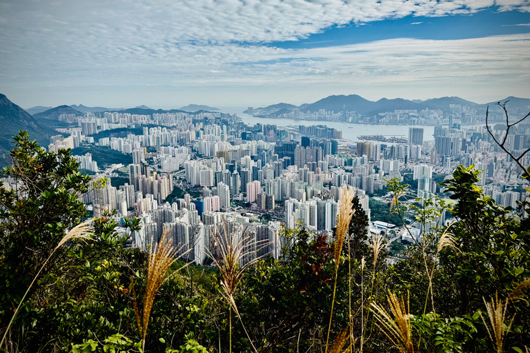 Hong Kong: Lion Rock Ridge Views Guided Hike (4 Hours)