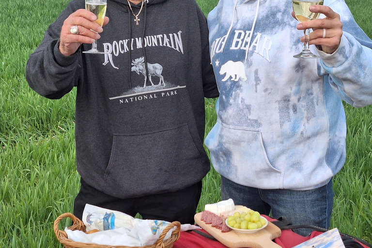 From Prague: Balloon ride with Champagne & Picnic