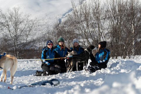 Tromsø: Easy Dog Sledding Tour & Kennel Visit