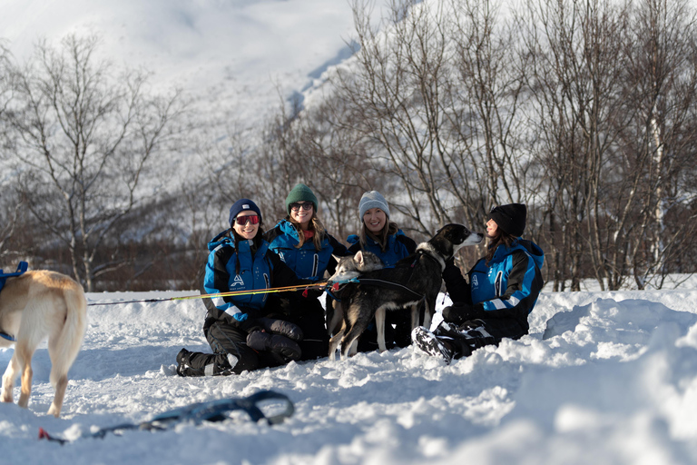 Tromsø: Easy Dog Sledding Tour & Kennel Visit