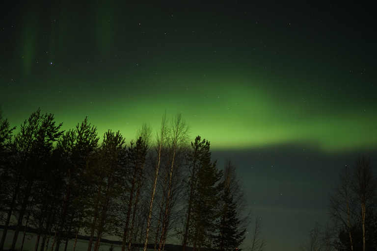 Northern Lights Rovaniemi Guaranteed & Unlimited KM Hunting