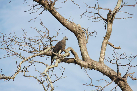 Bentota/Beruwala: Galle Fort, Koggala Lake & Kayaking Tour