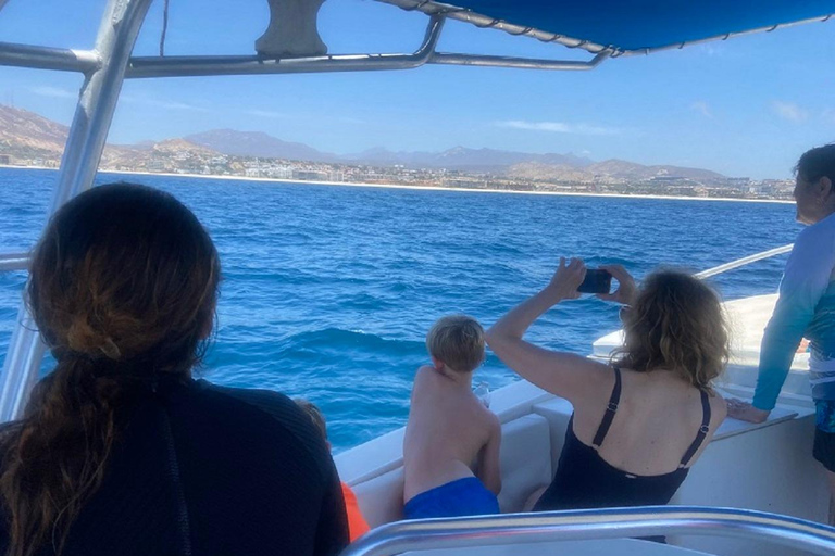 San José del Cabo: Whale Watching Experience Shared Tour