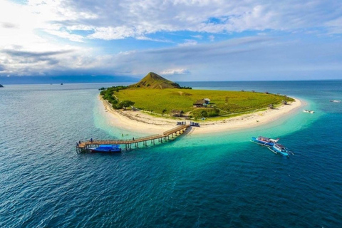 Guided full-day Exploration trip of Komodo Island Day Trip with Private Speed Boat