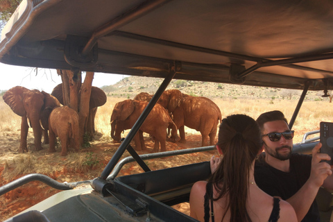 Red Elephants & Kilimanjaro Views: 3-day Tsavo East/Amboseli