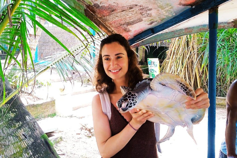 From Colombo: Galle Fort, Madu River, Bentota Day Tour