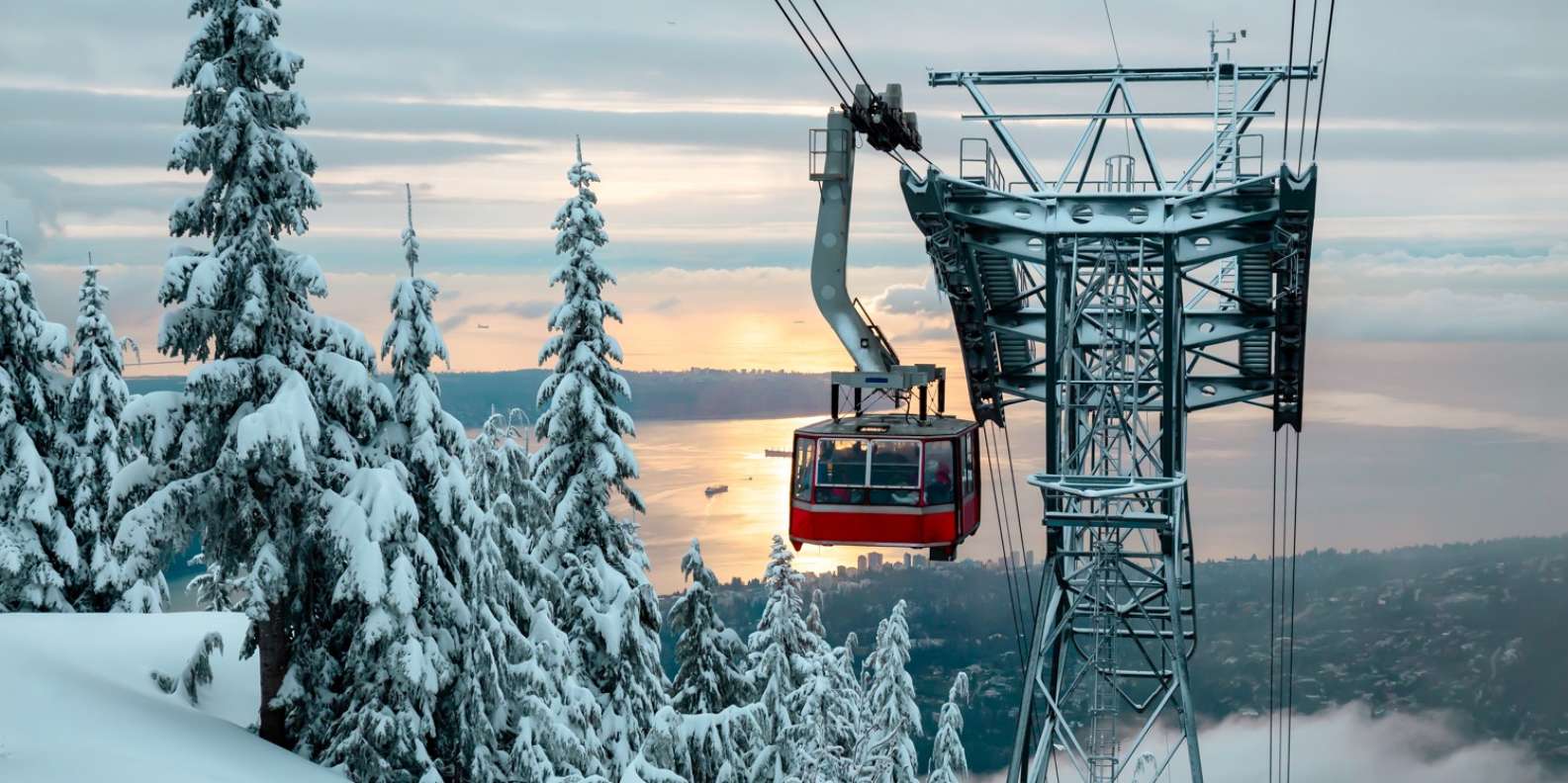 Vancouver: Grouse Mountain Admission Ticket | GetYourGuide