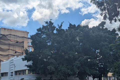 Explore Nairobi: Markets, Souvenir shops & City Tour