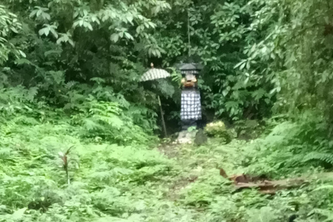 巴厘岛：玛永村徒步之旅