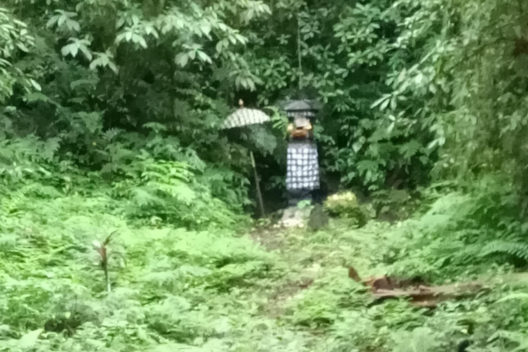 巴厘岛：玛永村徒步之旅