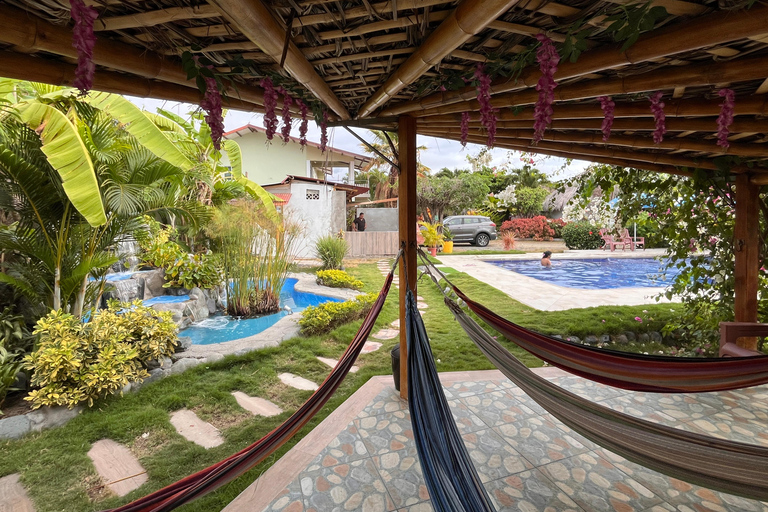 4-Day Tour: Quito, Mindo, Pacific Coast & Tsáchila, All incl