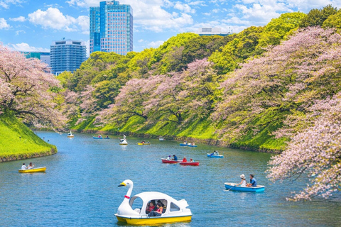 Tokyo Cherry Blossom Day Tour: Asakusa,Chidorigafuchi & Ueno 【Standard】English Guided Sightseeing Tour