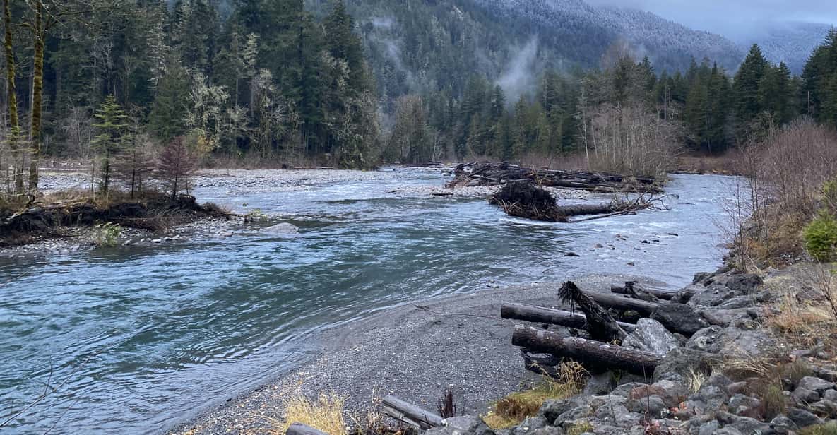 Olympic National Park: Half-Day Tour GetYourGuide