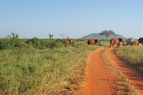 Mombasa:2-Day Tsavo East Wildlife Safari with Overnight Stay