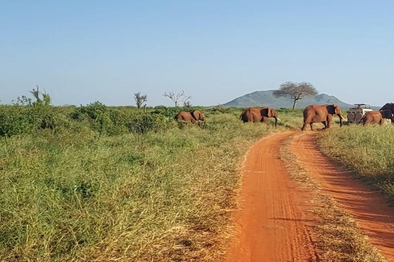 Mombasa:2-Day Tsavo East Wildlife Safari with Overnight Stay