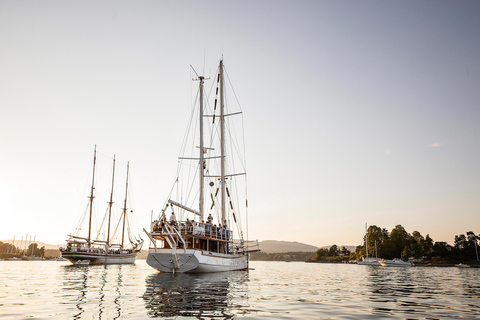 Oslo: Fjord Dinner Cruise on Sailing Ship w/ Seafood Buffet