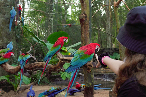 Watervallen, Vogelpark en Macuco Safari: Complete ervaring