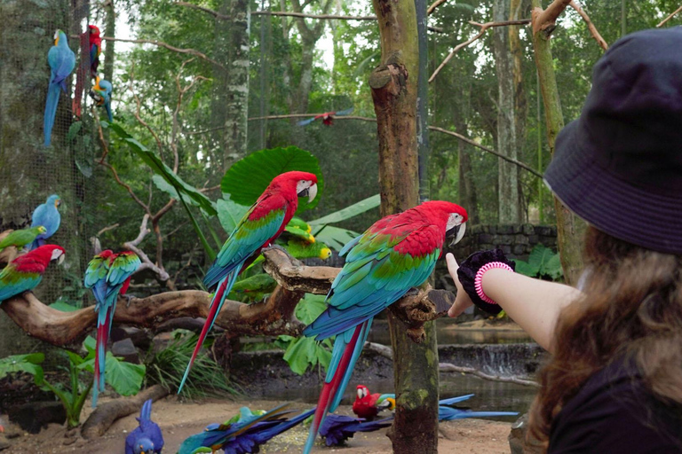 Private Bird Park Tour: Encounter Vibrant Birds Up Close