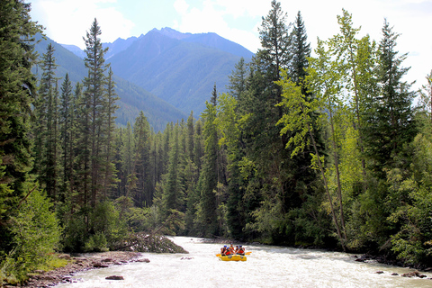 Panorama: Toby Creek Whitewater Rafting Adventure