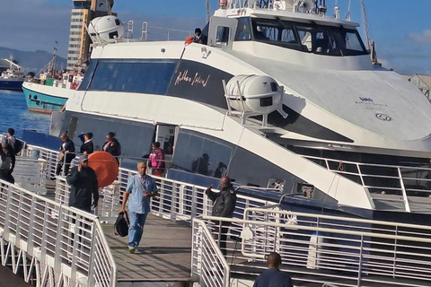 Ferry Ticket to Robben Island with Guided Prison Tour