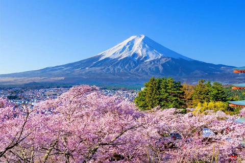 Tokyo: Mt Fuji & Arakurayama& Oshino Hakkai&Lake Kawaguchiko 8:00 AM | Shinjuku Station, West Exit
