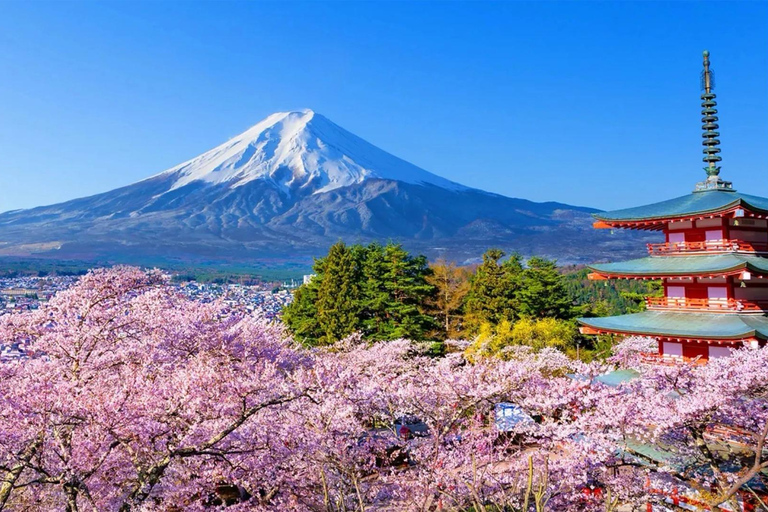 Tokyo: Mt Fuji & Arakurayama& Oshino Hakkai&Lake Kawaguchiko 8:00 AM | Shinjuku Station, West Exit